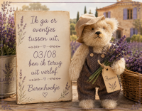 beren
maken berenpakketten patronen herstellen knuffel beer